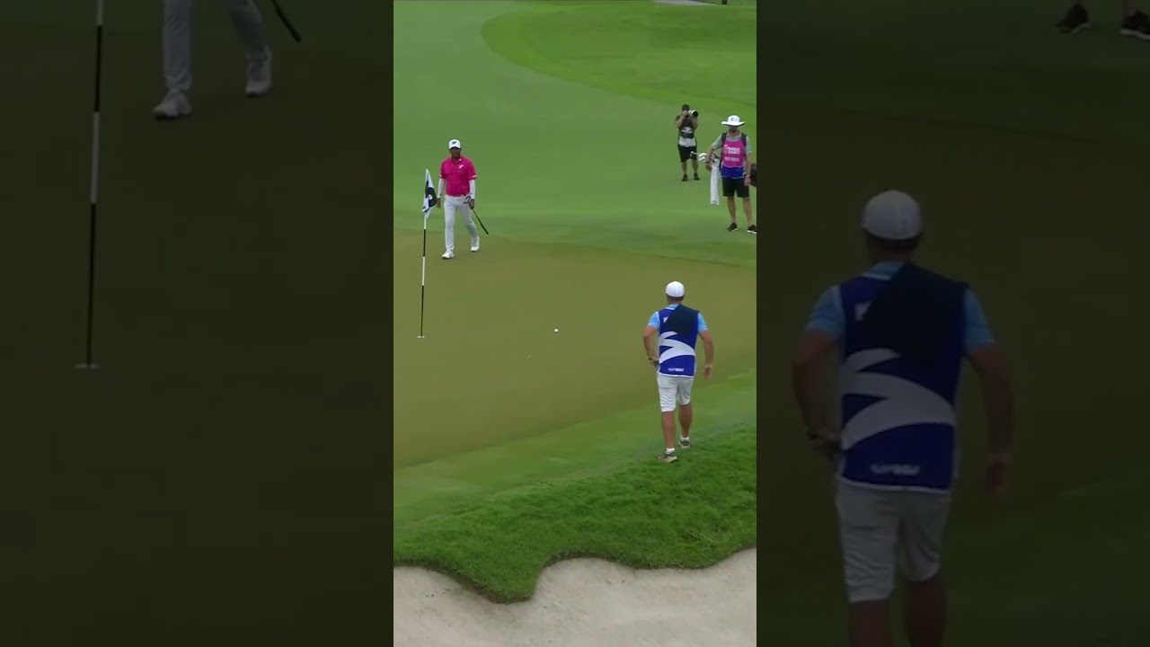 A magnificent chip in 🔥 A magnificent chip in 🔥