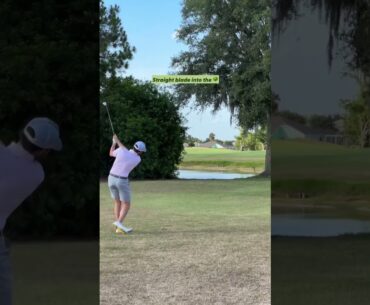 Trees are 90% air #golf