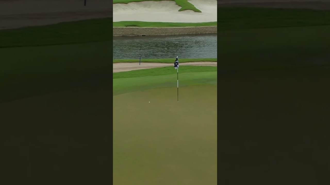 Locked in on a par 3 🏌️♂️ Locked in on a par 3 🏌️♂️