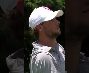 Finding the green ⛳️