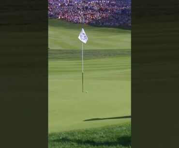 He can't STOP chipping in! 😮