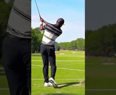 Tiger Woods Iron Swing 2024