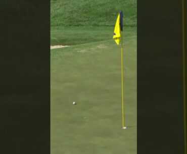 PGA Long Hitter Tony Finau Powerful Swing Moton & Slow Motion, 파워히터 토니피나우 판타스틱 스윙모션 & 슬로우모션 2024