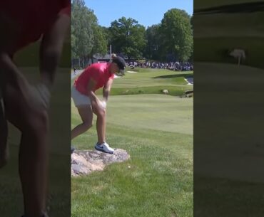 RISKY golf shot gone WRONG 👀