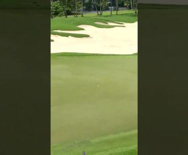 A fantastic approach out of the rough 🏌️‍♂️