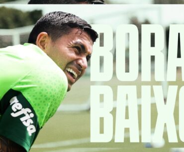 DUDU EM CAMPO NA REAPRESENTAÇÃO DO #Palmeiras
