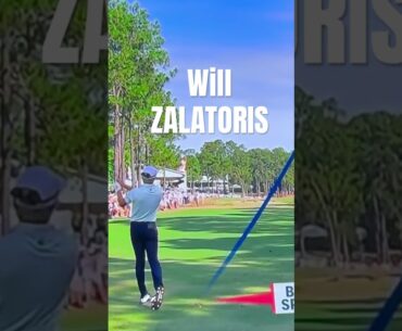 WILL ZALATORIS SPEED AND COMPRESSION #pure #golfswing #golf #shorts #shortsvideo #power #diy #tips