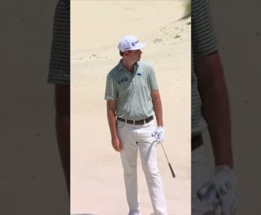 SLAM DUNK! 🏀 J.T. Poston delivers a classic no-bounce hole out on 16.