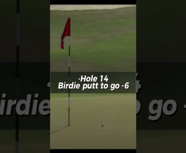 Rory McIlroy Swing US Open 2024 Hole 14