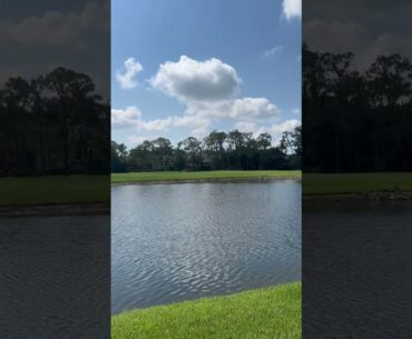 Rookery Golf Club Naples FL
