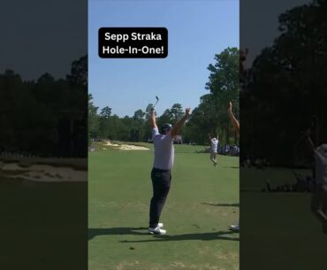 Sepp Straka gets an ACE at the US Open! #usopen #golf #holeinone #viral #pinehurst #usopen2024