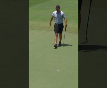 Magic on the green ✨