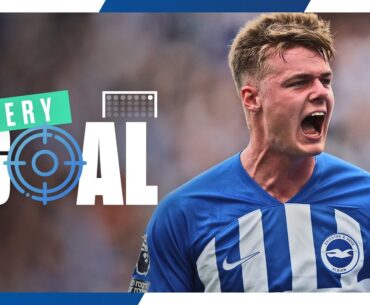 EVAN FERGUSON | Every Goal 2023/24 🇮🇪