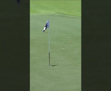 SOOOO CLOSE! What a start by Talor Gooch. 😮 #livgolf #shorts