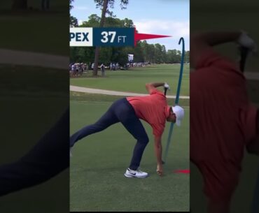 Rory McIlroy stinger at the US Open #rorymcilroy #usopen