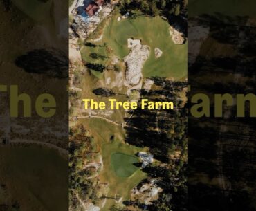 Zac Blair on Finding The Tree Farm Property