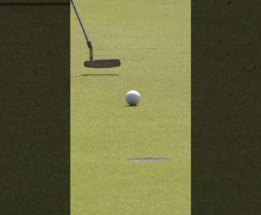 Smooth on the greens ⛳️