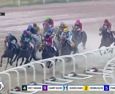(Seoul) 2024.06.22 R7 Class 5 (1700M) Handicap