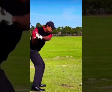 Tiger Woods Driver Swing