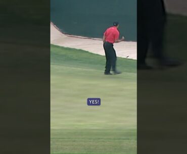 ICONIC Tiger Woods celebration 💪