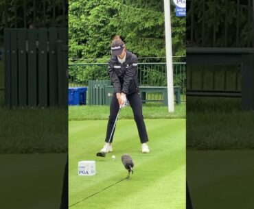 Lydia Ko 2023 KPMG #lpga #golf