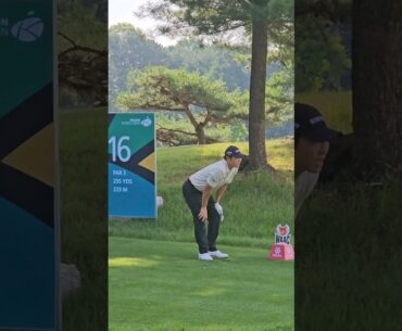 [KPGA] 주문거는 배상문, 233m 파3 홀에서 아이언 티샷, 제66회 코오롱 한국오픈 첫날