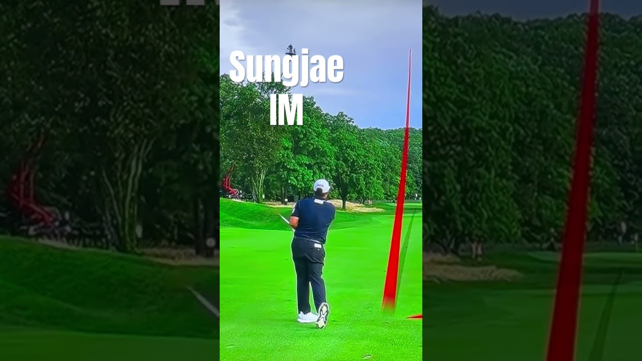 Sungjae IM PURE HYBRID 260yrds #diy #golftips #golfingtips #golfer #pure #golf #shorts #shortvideo Sungjae IM PURE HYBRID 260yrds #diy #golftips #golfingtips #golfer #pure #golf #shorts #shortvideo