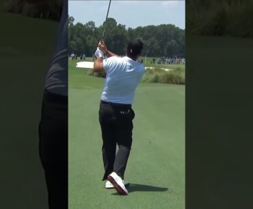 Reed nearly JARS IT in his home state! 👀 #livgolf #shorts