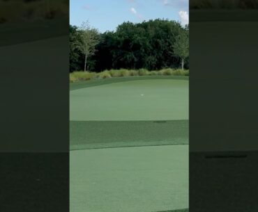 Liam Shane vs Daniel Shane chipping challenge! #golf #shaneandshanegolf #shorts