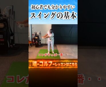 誰でも取り組めるスイングの基本教えます。田村光正