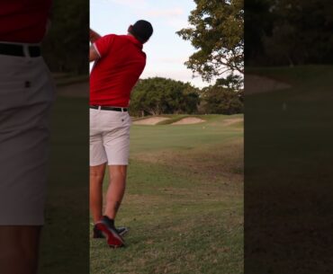 STINGER! #golf #stinger