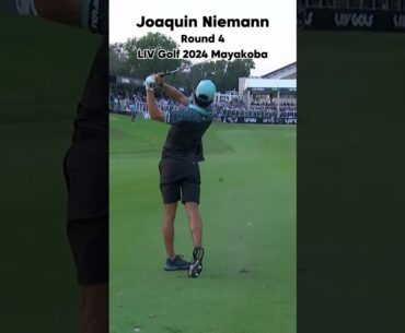 Joaquin Niemann ⛳️ Round 4 2024 Mayakoba Highlights #golfhighlights