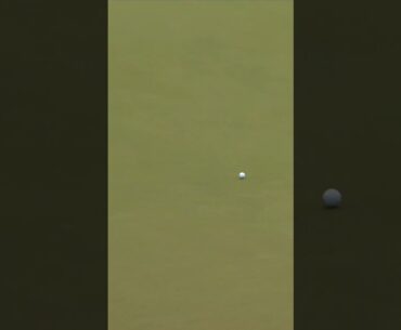 A perfect putt ⛳️