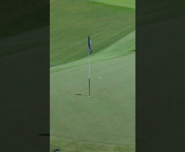 Landing it soft and close to the pin ⛳️