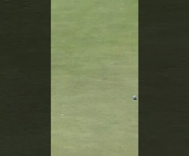 Drops it from distance! ⛳️