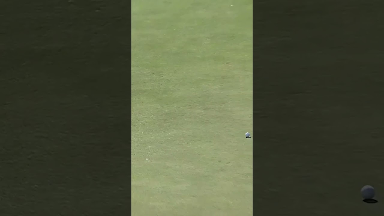 Drops it from distance! ⛳️ Drops it from distance! ⛳️