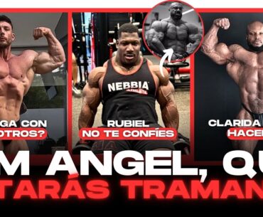 ¿QUÉ TRAMA KIM ANGEL? ¿OCULTA O PRETENDE SORPRENDER? || CLARIDA SORPRENDE Y RUBIEL A POR LOS 100K
