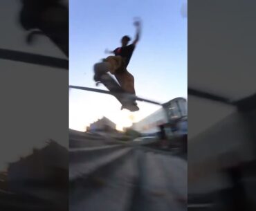 Harry While Fs lip Morfa Hall 📹 Natural Habitat