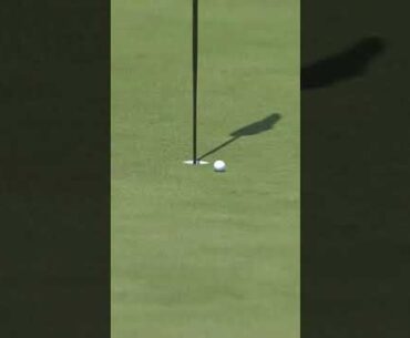 How many tries would it take you to make this? 👀 #golf #korea #golflife