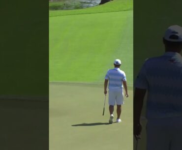 A stroke of brilliance on the greens ⛳️