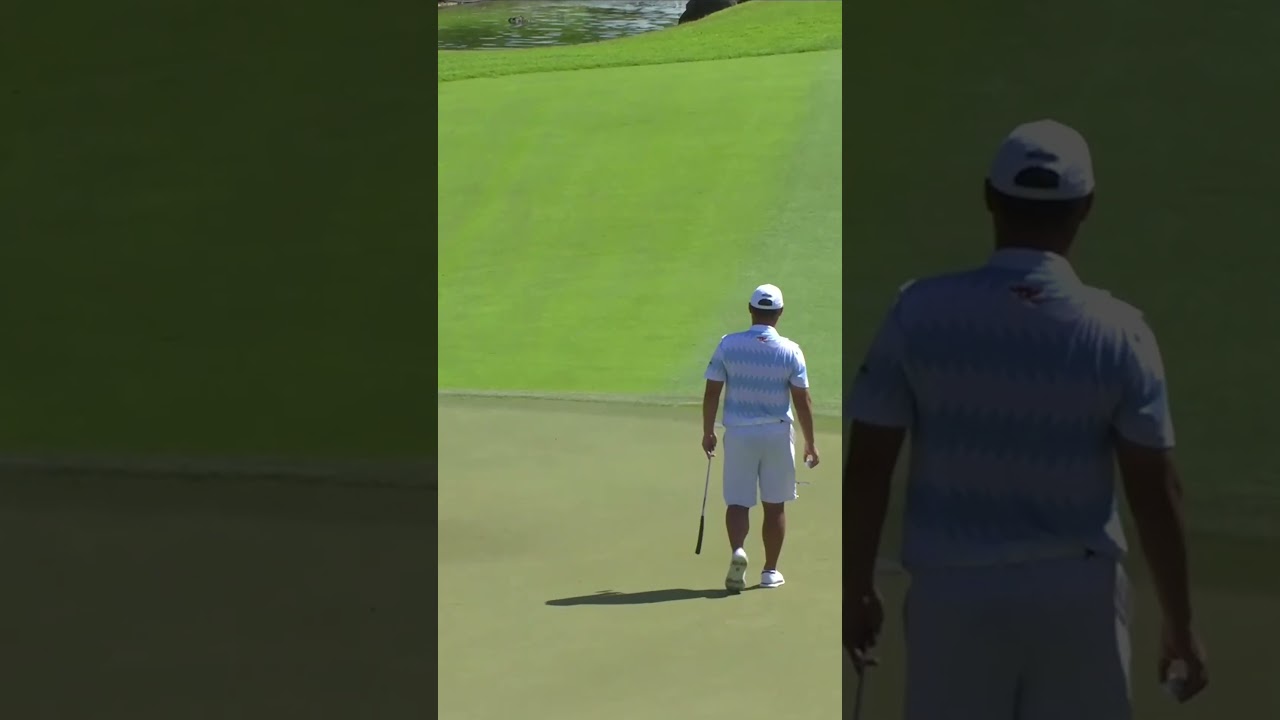 A stroke of brilliance on the greens ⛳️ A stroke of brilliance on the greens ⛳️