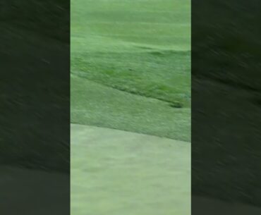 Peter Uihlein is an artist!