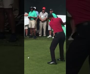 Tiger Woods Driver Swing