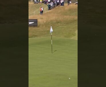 1m to 1 golf shot. What are the odds?! 🤯