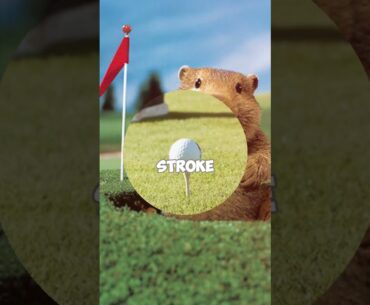 Weirdest Rules of Golf (EVERYONE HATE IT) #shorts
