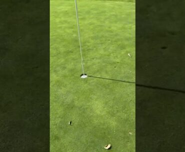 #golf first hole in one