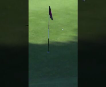 What an approach 🏌️