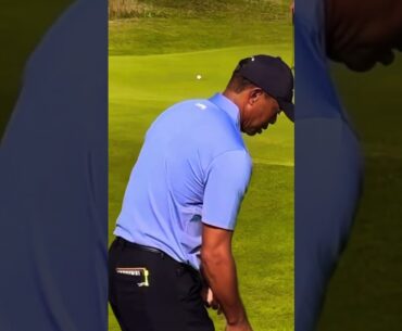 Tiger Woods At The Open Championship 2024