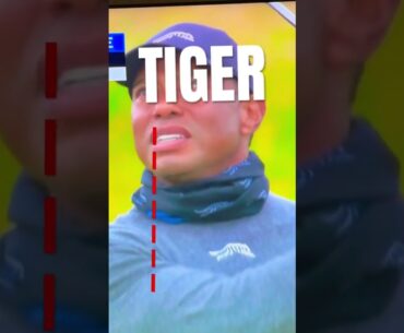TIGER PURE IRON SWING #shorts #diy #golftips #golf #golfer #short #golfswing #power #tips #swing