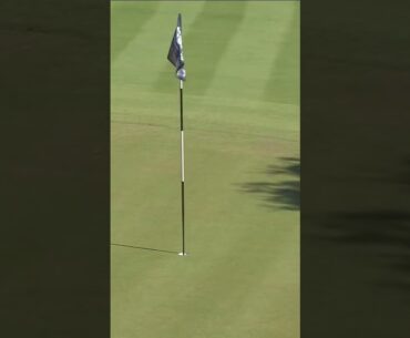 EAGLE ALERT 🦅Niemann spins it back and jars it! 😮 #livgolf #shorts